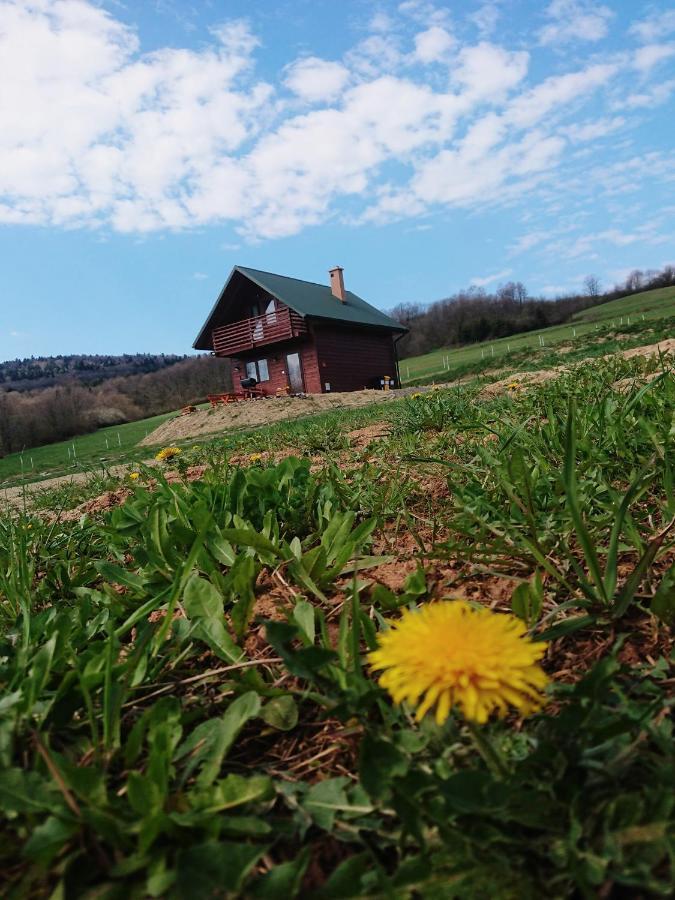 Na Starej Cegielni Holiday home